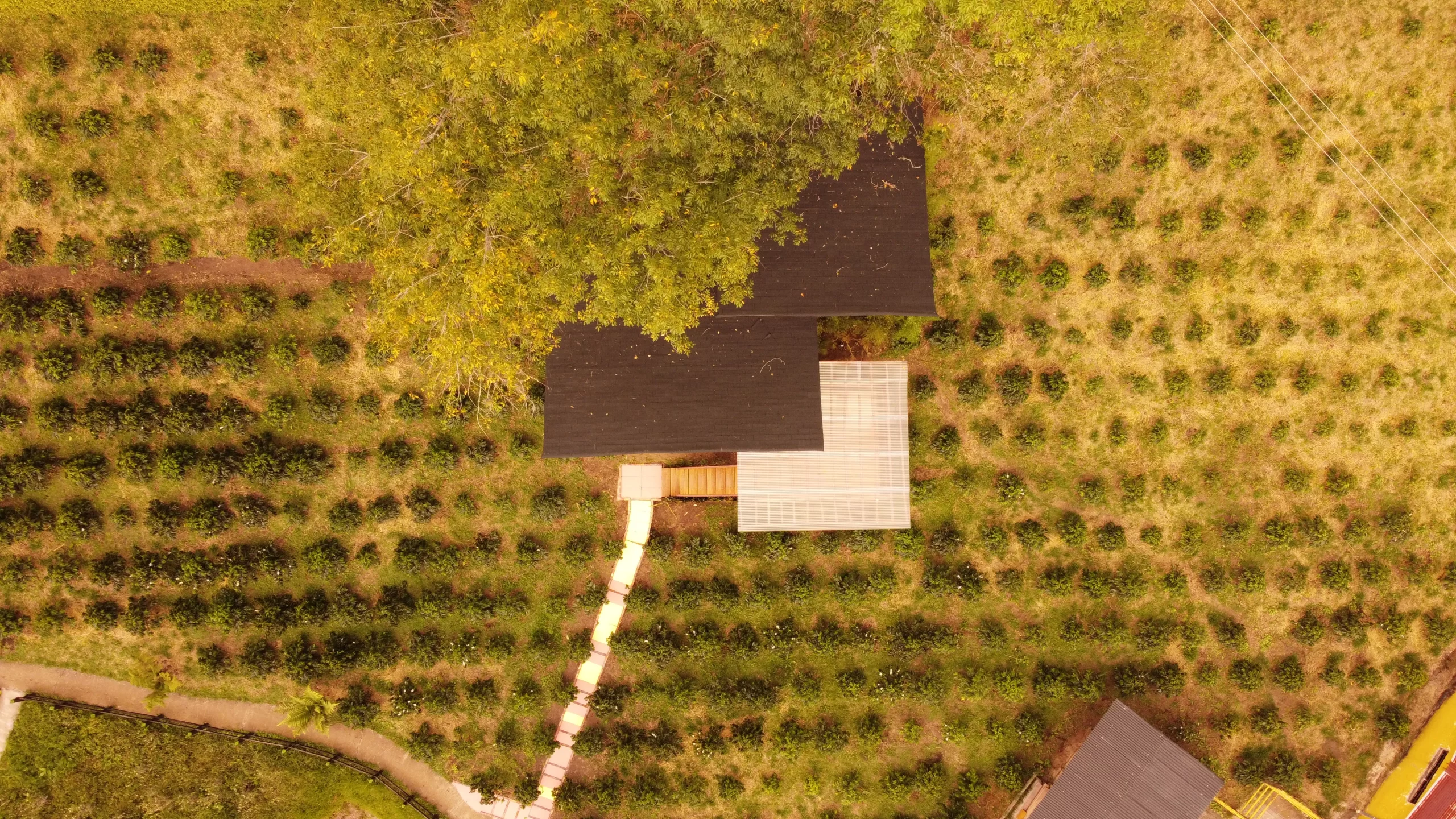 DJI_0120