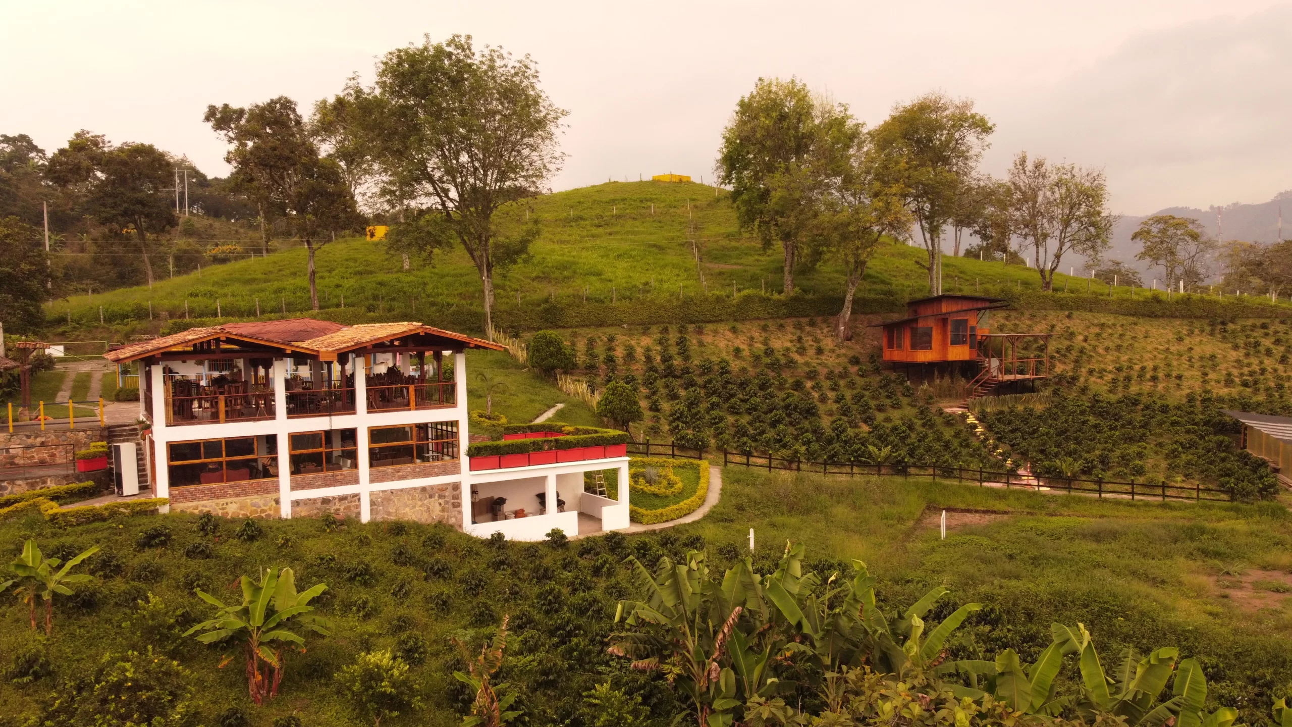DJI_0129